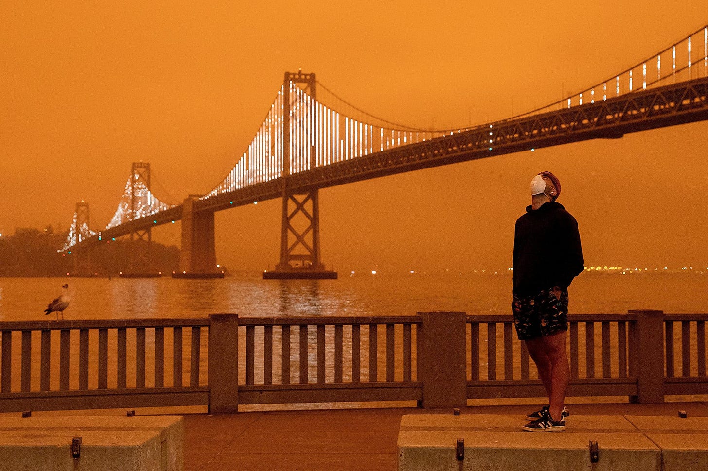 The orange skies have faded. But Orange Skies Day is forever