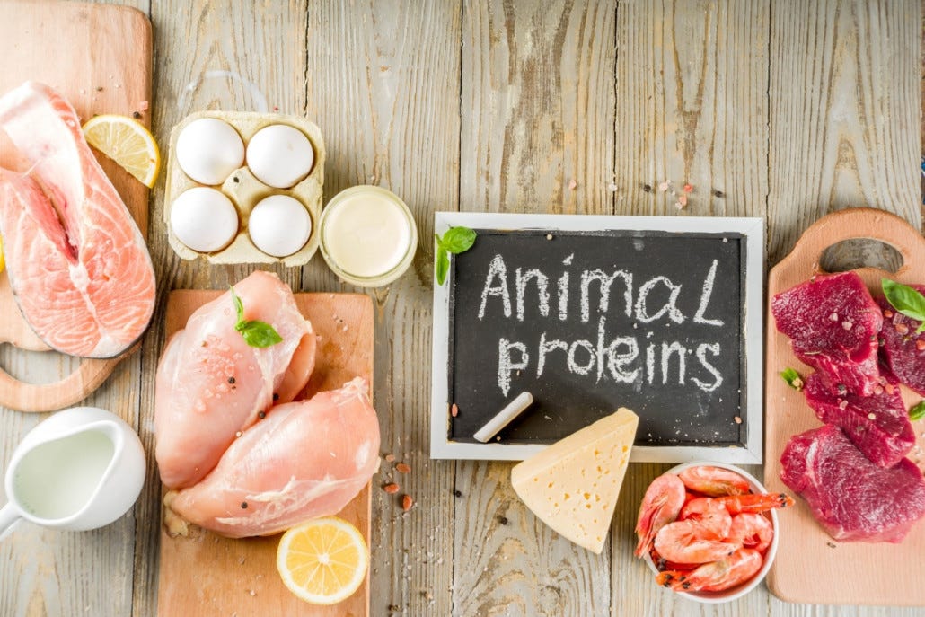 Plant protein vs. animal protein: Which has the greatest impact bone health?