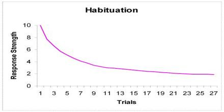 Habituation - Assignment Point