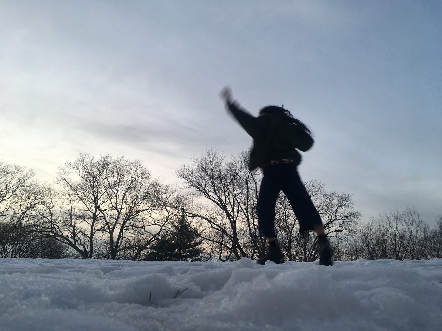 photo by me:  me keeping my weight above the ground covered in snow, left leg slightly bent, left arm raised, with bare trees in the background
