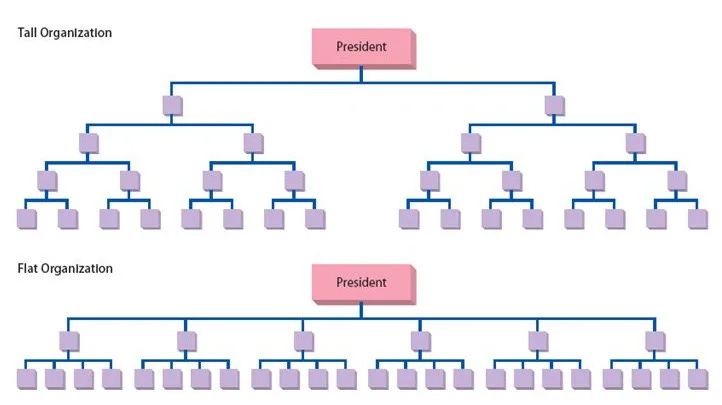 Difference Between Tall and Flat Organizational Structure