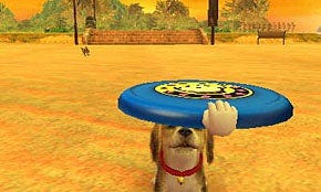 Nintendogs + Cats Competitions - Nintendogs + Cats: Bulldog Wiki Guide - IGN