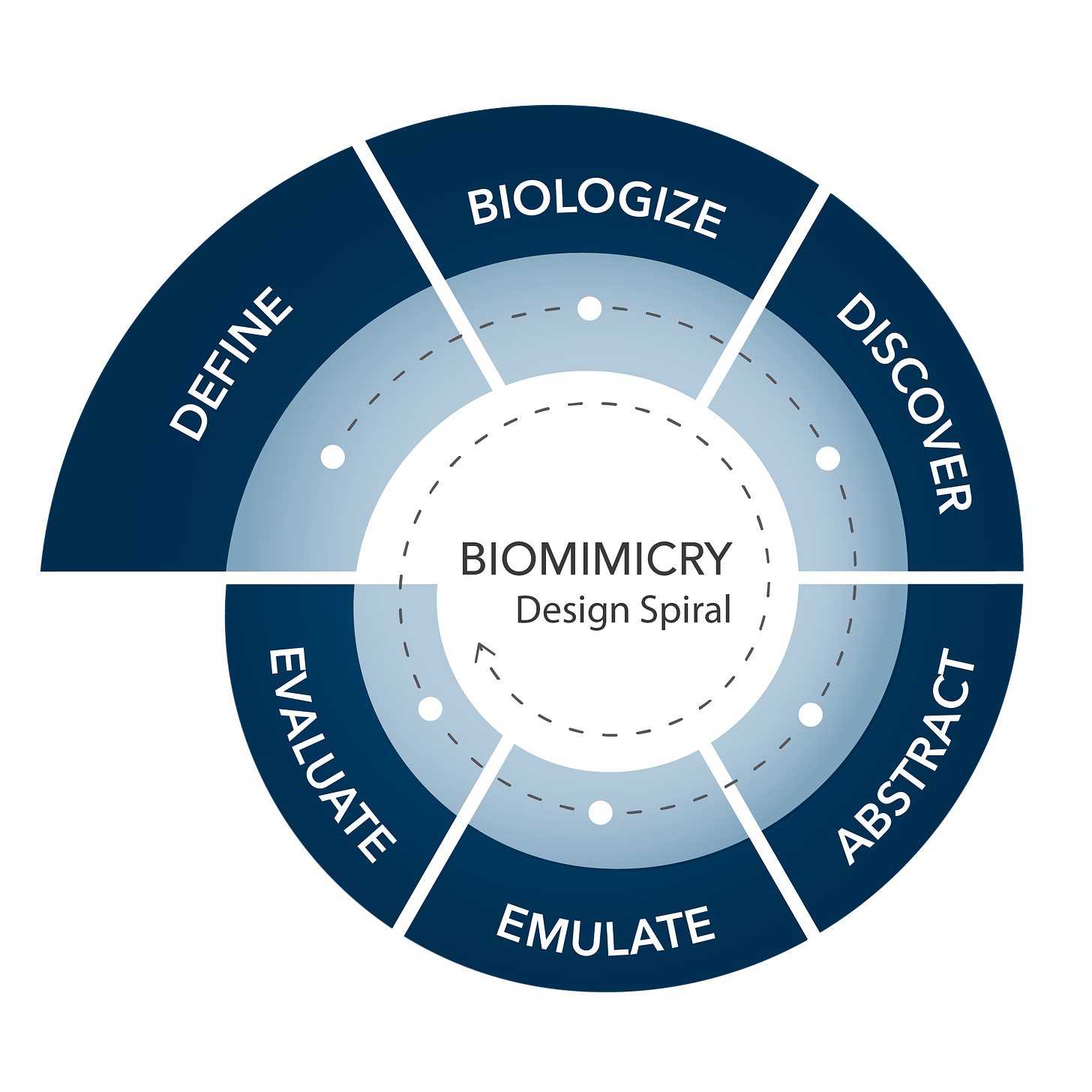 Biomimicry Design Spiral