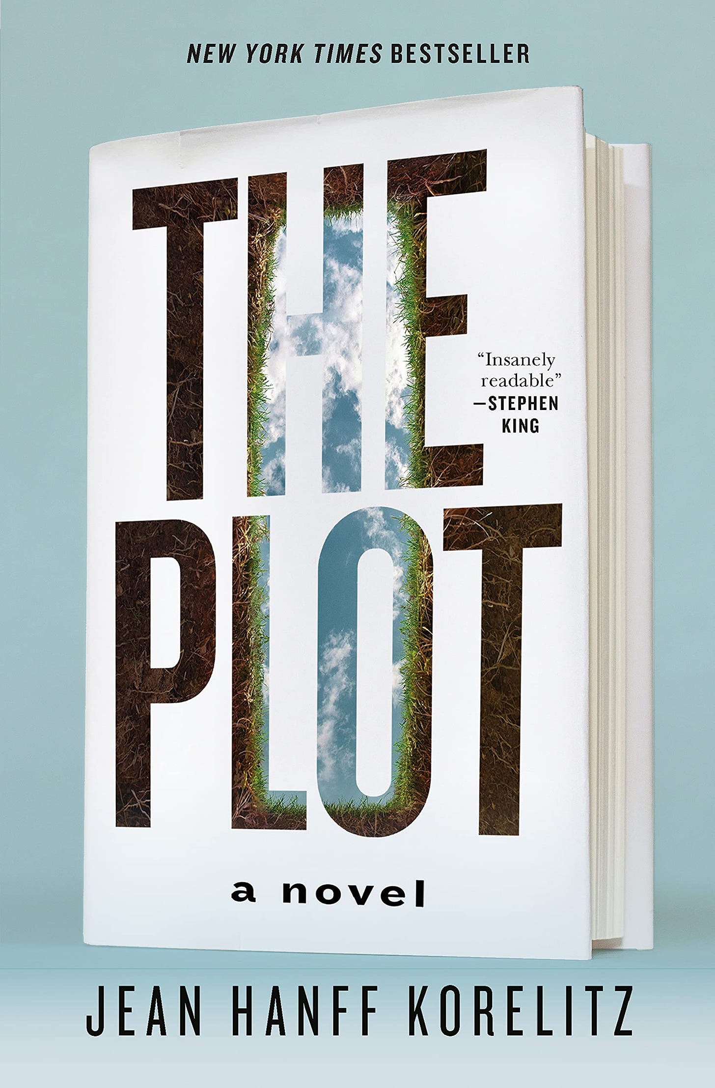 Amazon.com: The Plot: A Novel: 9781250790767: Korelitz, Jean Hanff: Books