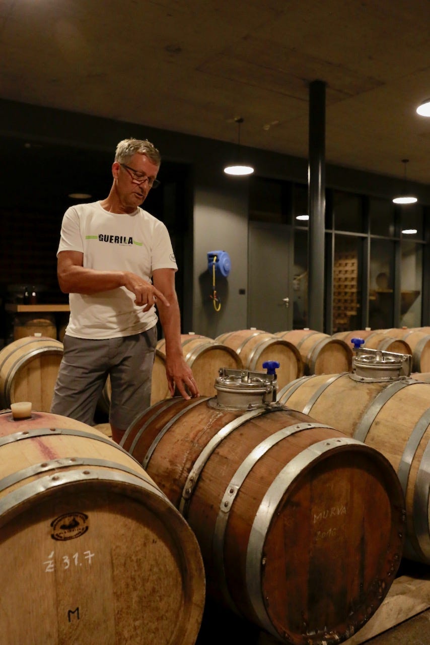 guerila wine zmago petric slovenia vipava picolit barrel