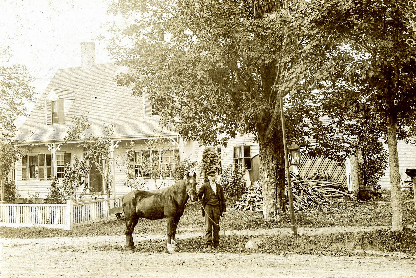 Moses M. Balch with horse