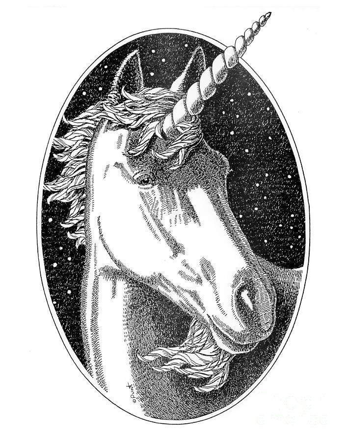 Unicorn-Black-White-Drawing Drawing by Gordon Punt