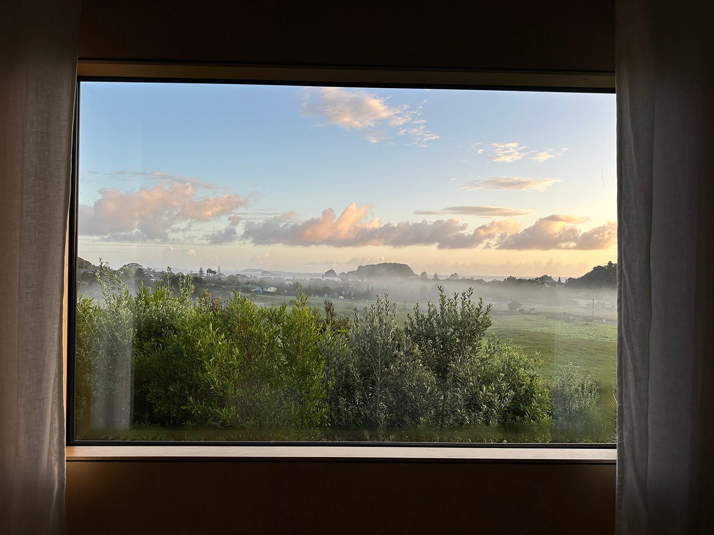 Early morning view from a bedroom window. Just after sunrise, pink clouds in a light blue sky and native bush over marshland. Mist hovers over the grasses.