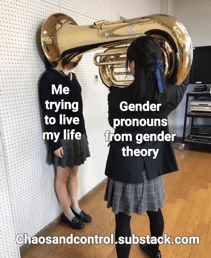 May be an image of 2 people, people standing, trumpet, indoor and text that says 'Me trying to live my life Gender pronouns from gender theory Chaosandcontrol.substack.com'