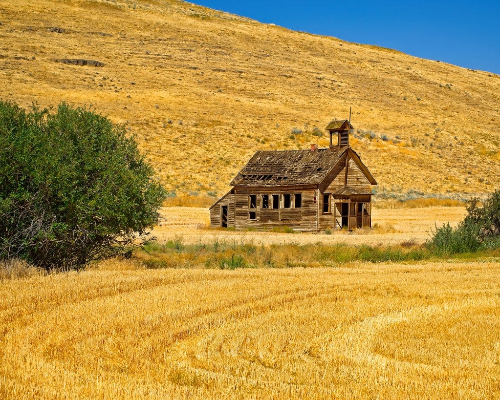 Abandoned Schoolhouse and Wheat Field 3443 B