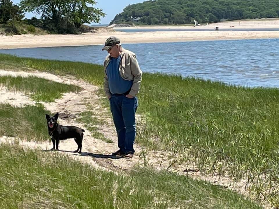 May be an image of body of water, beach, nature and grass