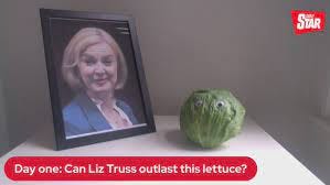 U.K. PM Liz Truss compared to a lettuce, amid jokes and economic chaos -  The Washington Post