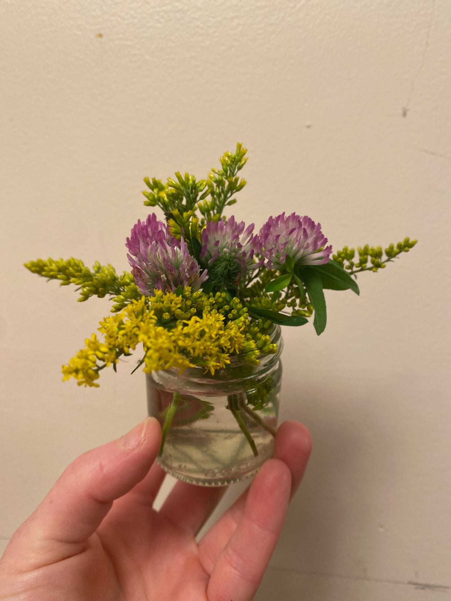 My hand holding up a tiny glass jar with a few springs of goldenrod and clover in front of a white wall.