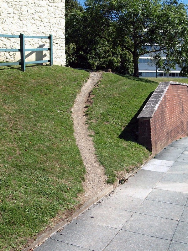 A Desire path (i.e. a path that’s worn into the ground that users take that differs from the paths that urban planners lay out) that goes up a hill. There is a sidewalk at the bottom of the hill heading to the right and university buildings behind, but the desire path goes through the grass and up the hill.