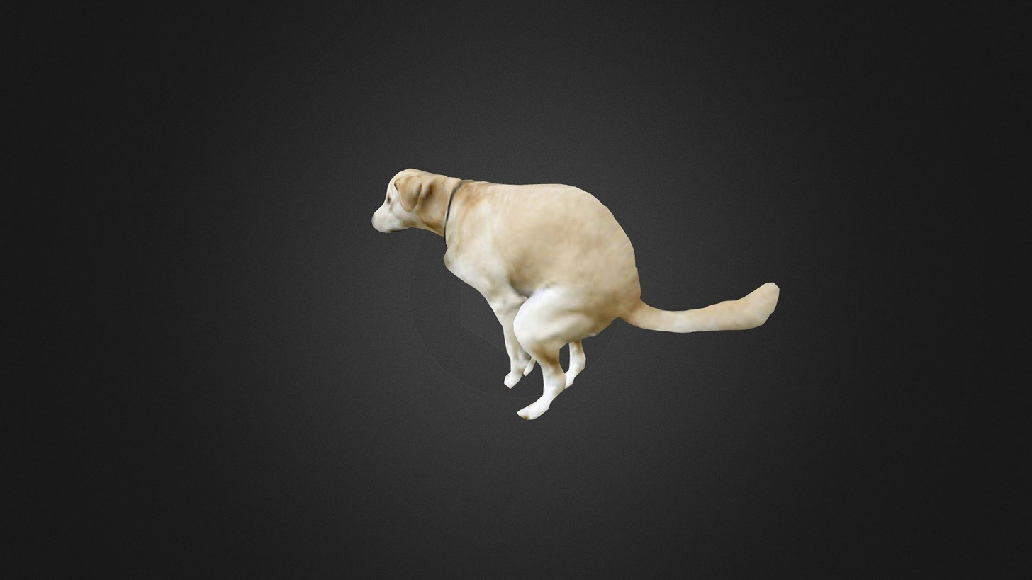 Dog pooping - Download Free 3D model by JuanG3D (@juang3d) [d342e57]