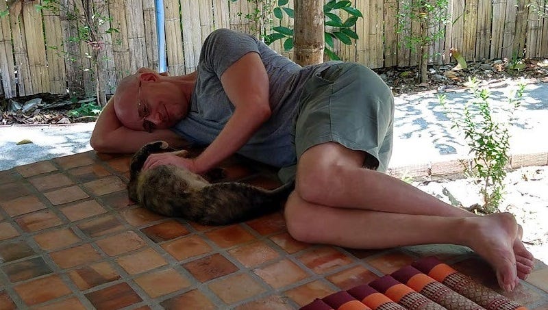 As for me, I love cats! (in Thailand)