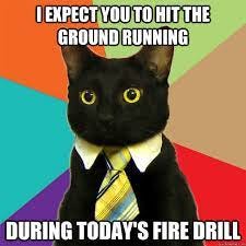 i expect you to hit the ground running during today&#39;s fire drill - Business  Cat - quickmeme