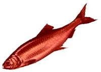 Image result for red herring