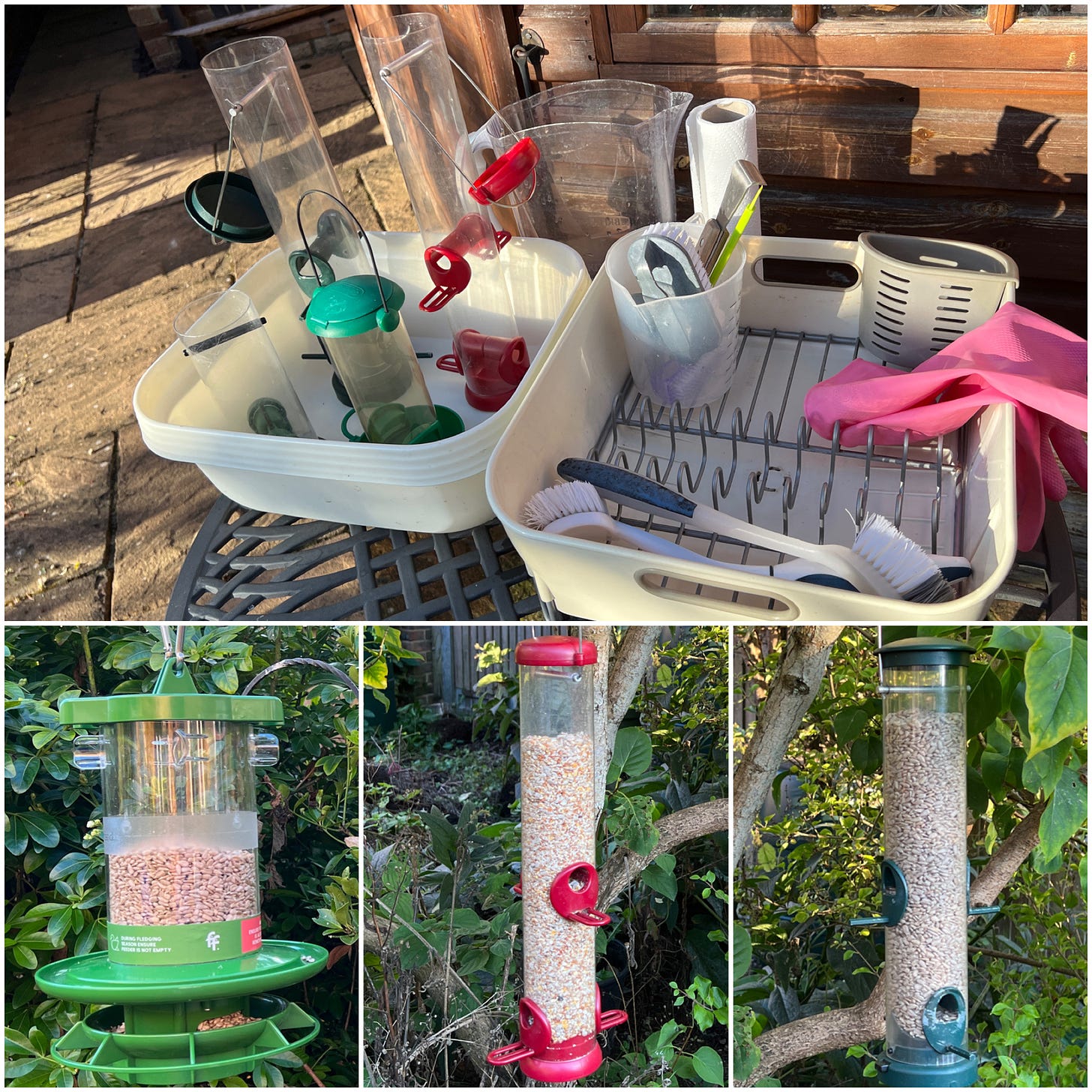  photo collage showing 4 photos, one on top and three smaller photos below.  The top photo shows a garden table with a washing up bowl and a dish drainer on top. Newly-cleaned feeders stand up in the bowl, and cleaning brushes and rubber gloves are on the drainer.  On the bottom row, photo 1 shows a Finches Friend feeder, with a green lid and base, partially filled with sunflower hearts.  Photo 2 shows a feeder tube with a red top, base and feeder ports, containing no-mess seed mix. Photo 3 shows a feeder tube with a green top, base and ports, containing sunflower hearts.