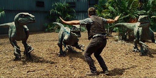 Chris Pratt stars as a velociraptor trainer in "Jurassic World," a 2015 Universal Pictures release.