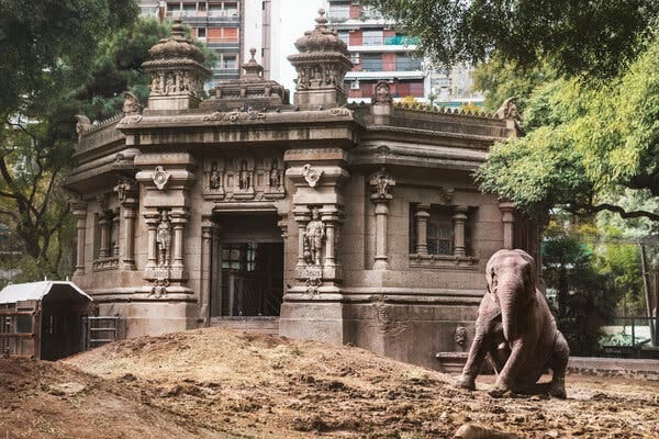 Mara at the Buenos Aires zoo. Her enclosure was built in 1904 to resemble a Hindu temple of elephants in Mumbai.