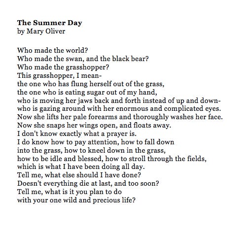 Maya C. Popa on Twitter: &quot;&quot;The Summer Day&quot; by Mary Oliver 💛… &quot;