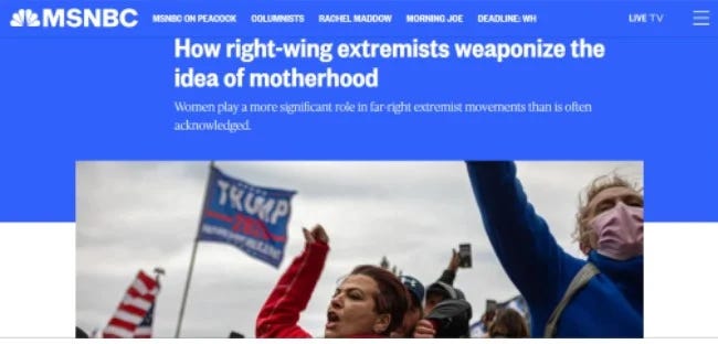 Artikel MSNBC yang menyerang kaum ibu.