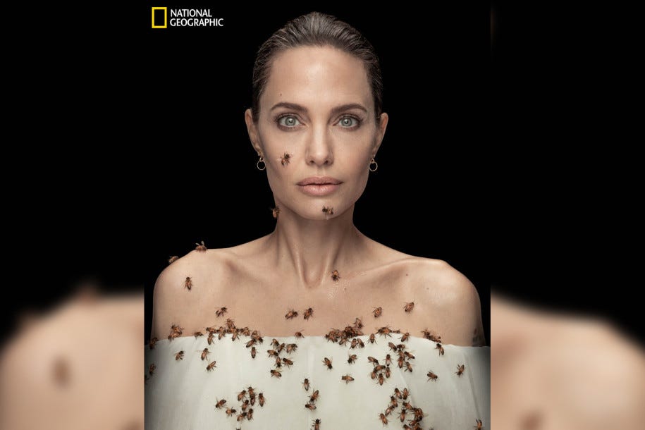 Portrait of Angelina Jolie in a white wrap just below the shoulders, partly covered with bees.