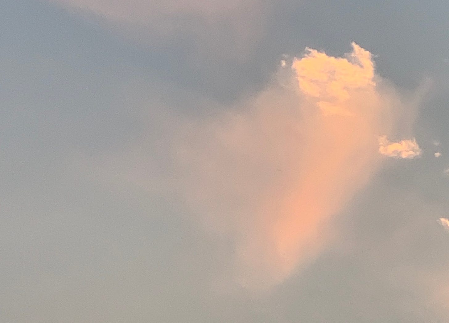 A small pink cloud trailing a pink blur of virga. 