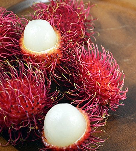 Amazon.com : Fresh Rambutan Fruit (5lb) : Grocery & Gourmet Food