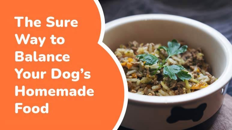 meal mix for dogs