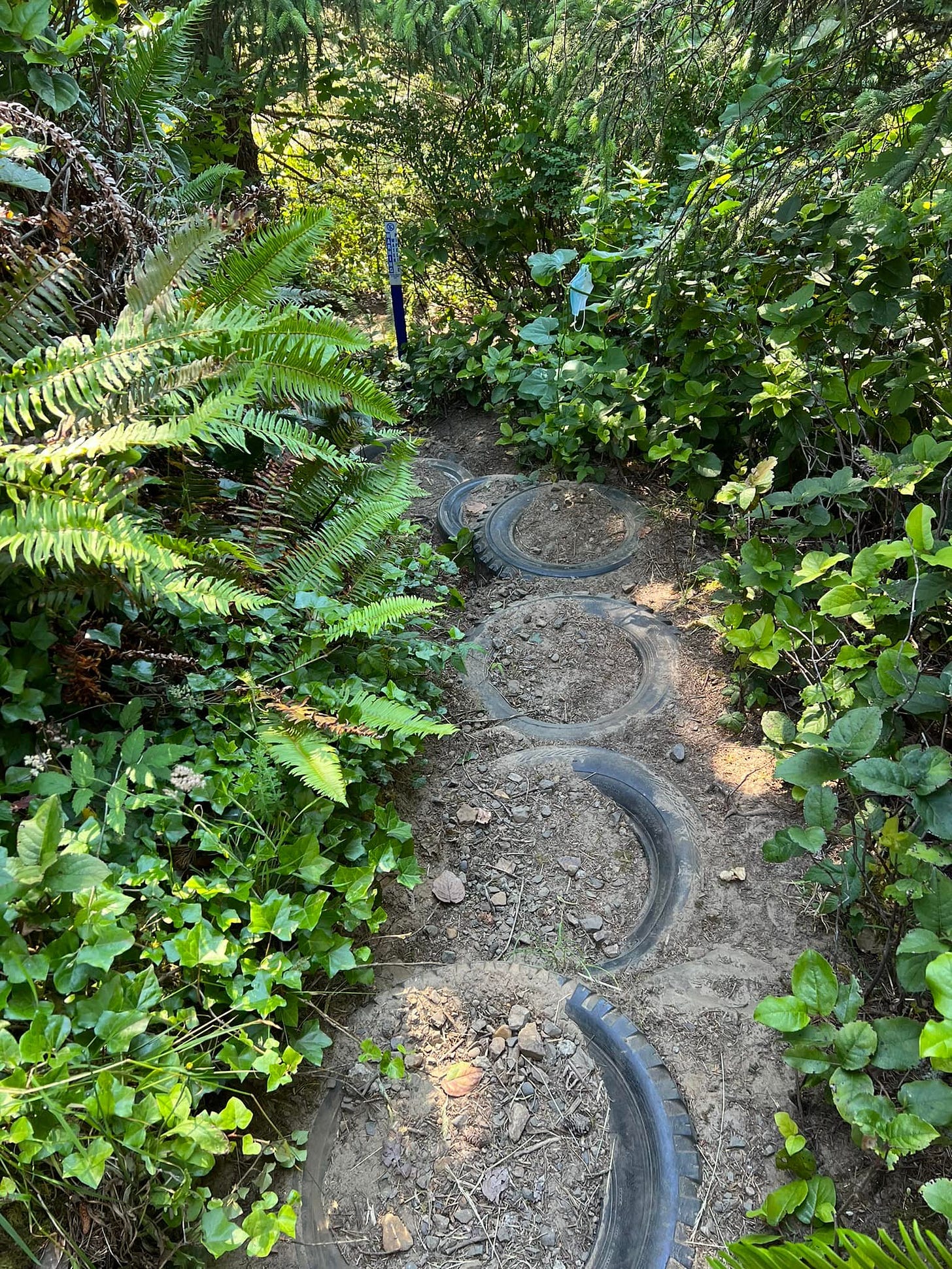 A trail with a foundation of old tires embedded in the dirt surrounded by a verdant landscape, leading down a steep hill