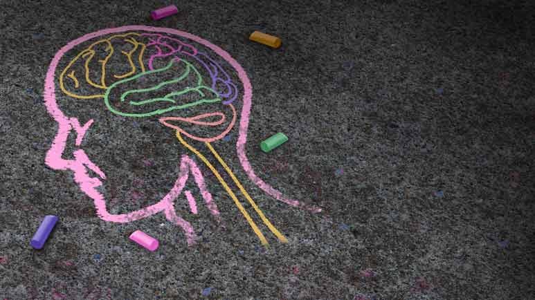 autism and the gut brain connection