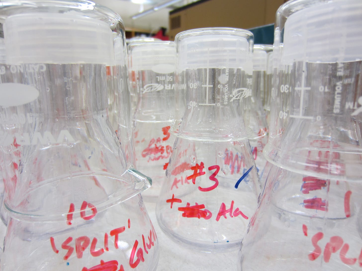 Clear flasks with red writing