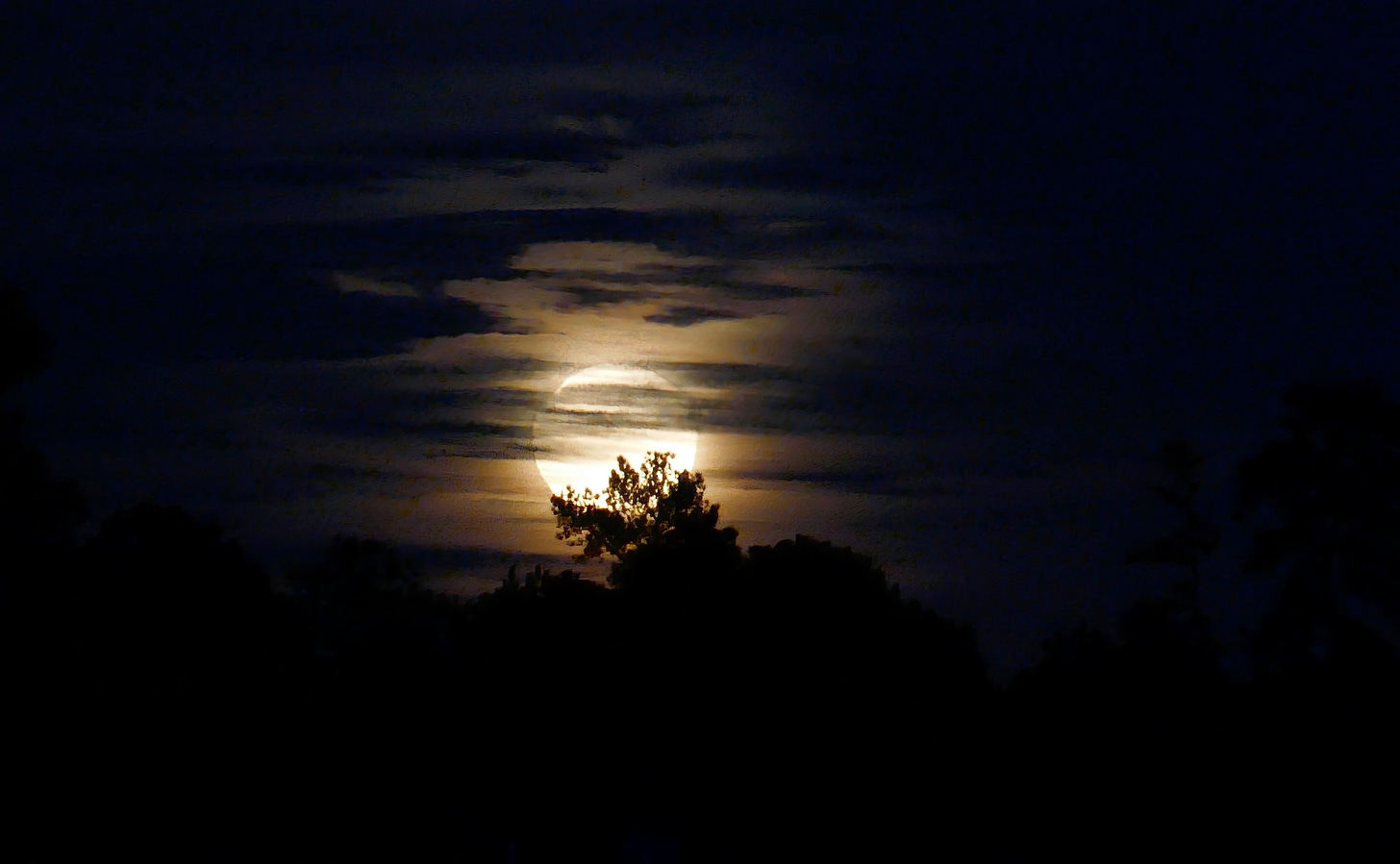 A full moon against the dark night sky with clouds wisping across and the top branches of a tree silhouetting the bottom right corner of the moon