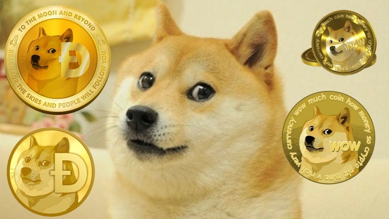 Dogecoin - Is It Worth It To Invest? - YouTube