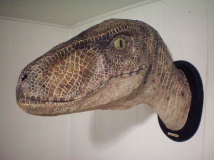 Velociraptor head