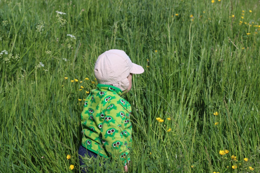 A photo of a small kid in a field