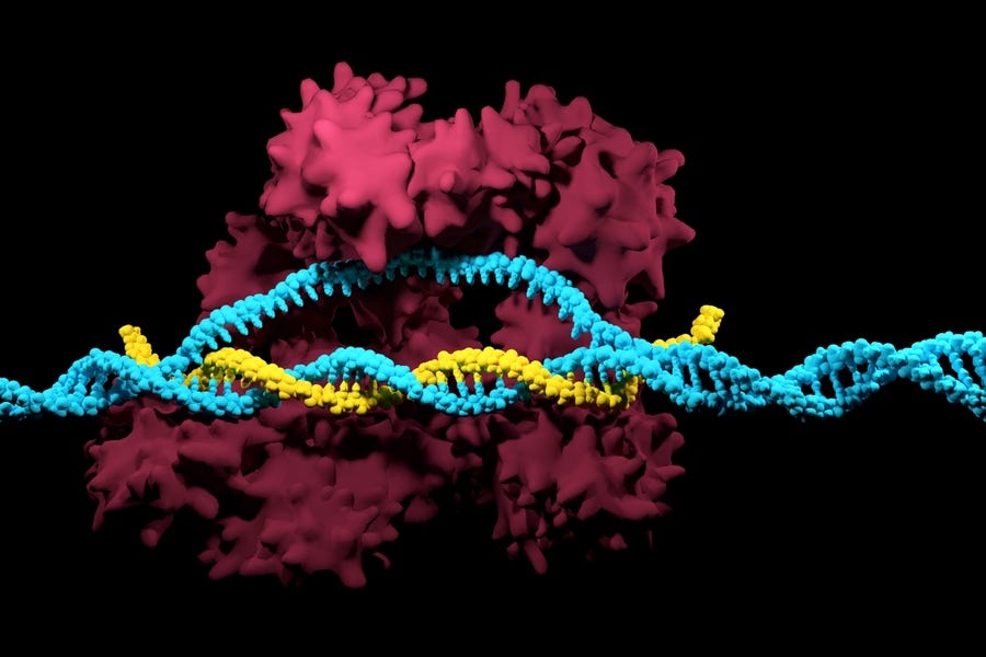 Gene editing Cas9 protein