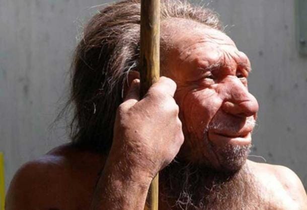 Neanderthals were not as primitive as some would like to think.