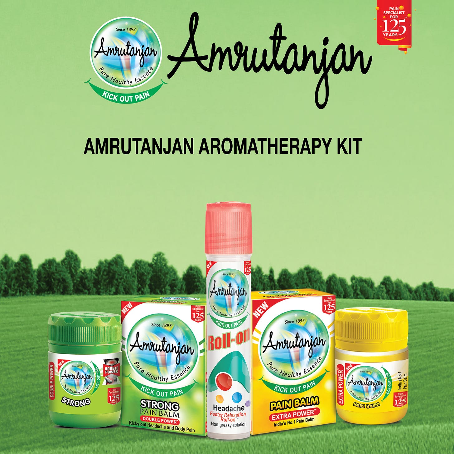 Amazon.in: Amrutanjan Health Care Ltd.: Head Range