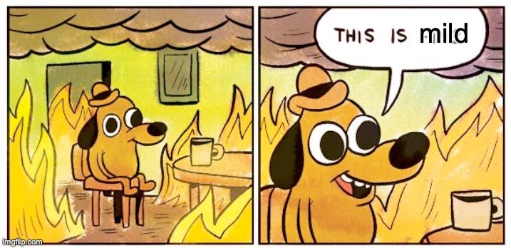 This is fine dog meme in 2 panels in the second panel the text bubble says this is mild