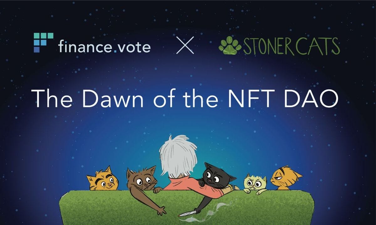Stoner Cats x finance.vote: The Dawn of the NFT DAO » MAXBIT