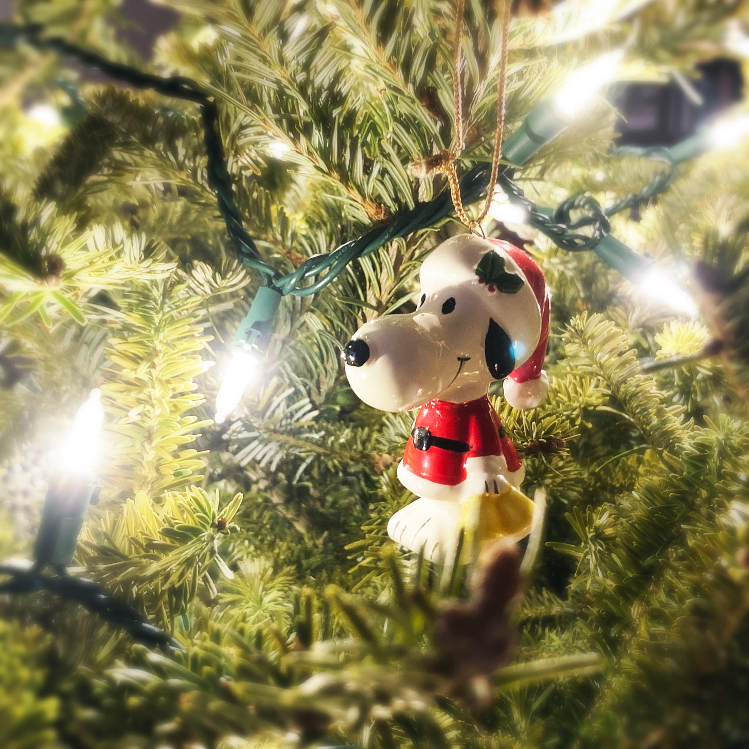 closeup of a Snoopy Christmas ornament and lights on a tree