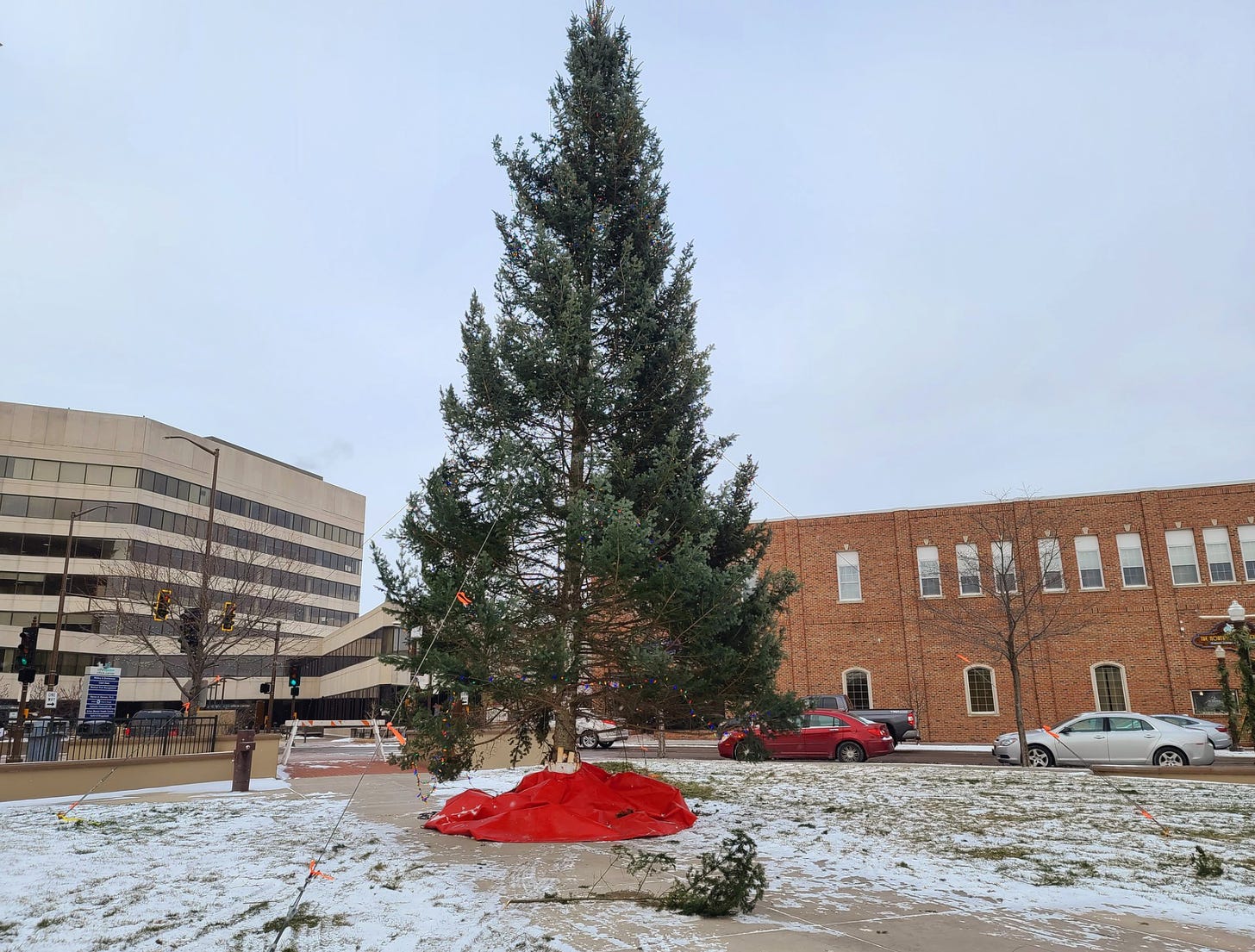 A tall pine christmas tree in the town square during the day. Broken branches are on the ground, a red blanket is wrapped around the base. The photo is taken from a low angle with a flat grey sky in the background. This tree had fallen, but now is upright being held in place by cables stake in around it.