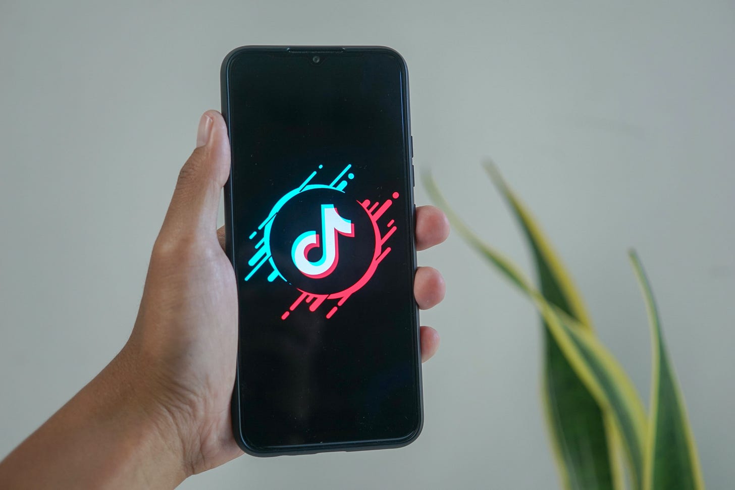 A hand holds a phone showing the TikTok splash screen. (Mourizal Zativa / Unsplash)