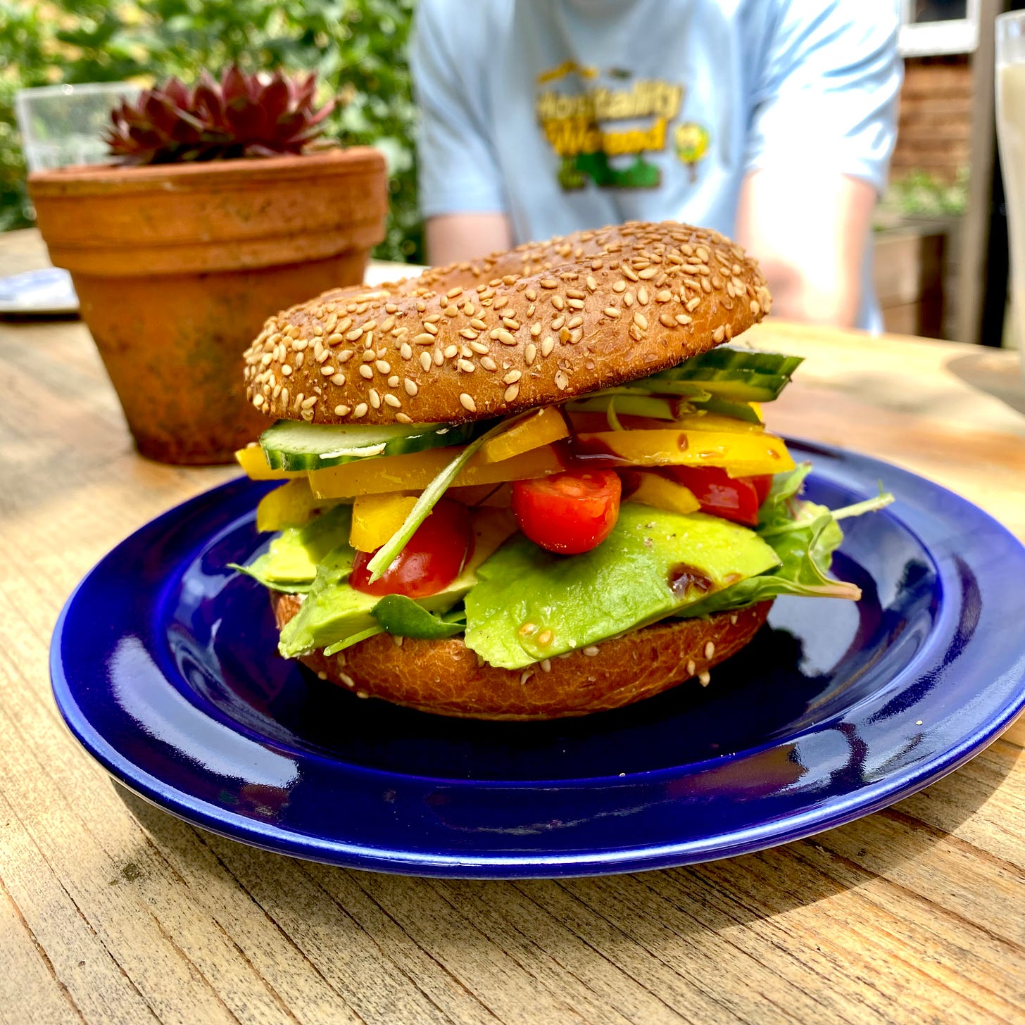 Blue plate serving a sesame seed bagel filled with salad. Outside in a garden, the plate is on a wooden table, with a sempervivum in a terracotta pot next to it.