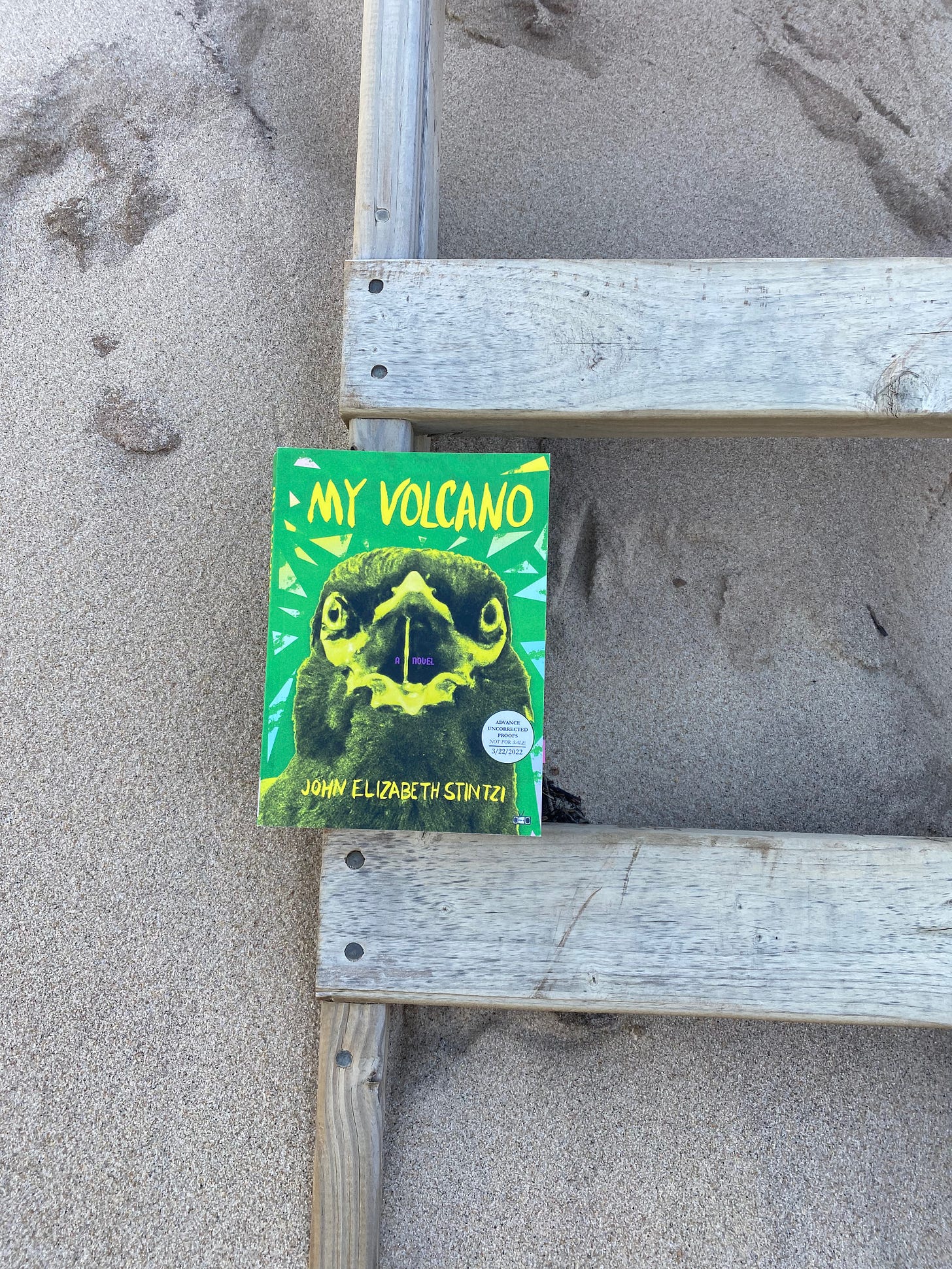 A paperback copy of My Volcano rests on the wrung of a weathered wooden ladder on a beach. Only two rungs are visible; the rest of the photo is taken up by sand. The cover of the book is bright green, with the image of a bird with a large beak.
