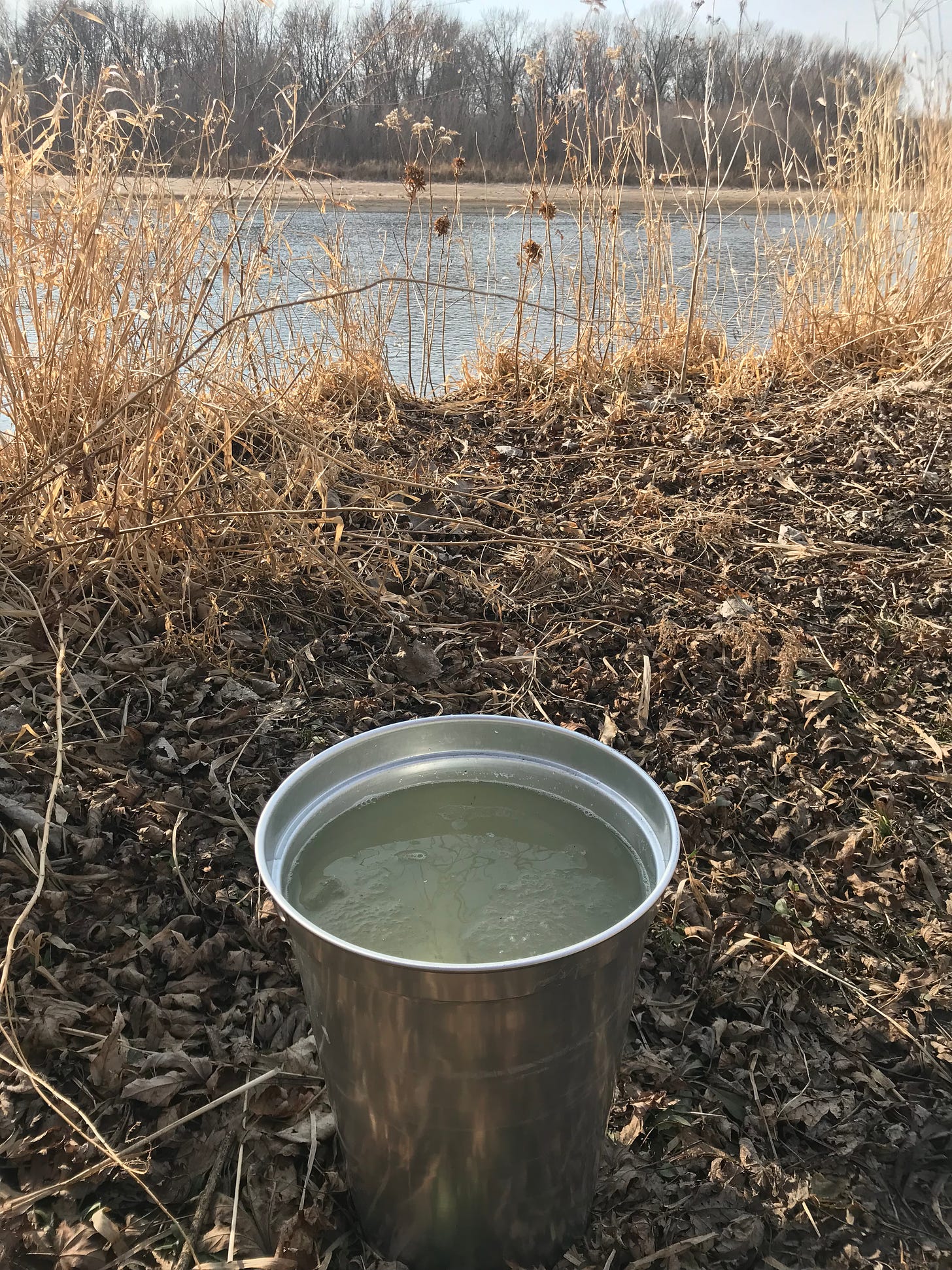 Bucket of maple sap sits in dry leaves near a river
