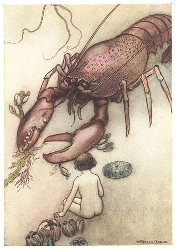 "Tom had never seen a lobster before."—P. 113.